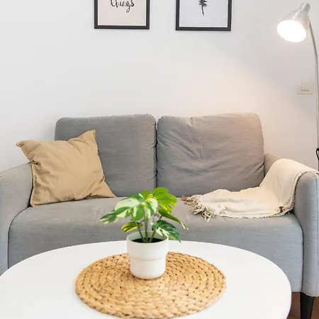 Cozy Centro